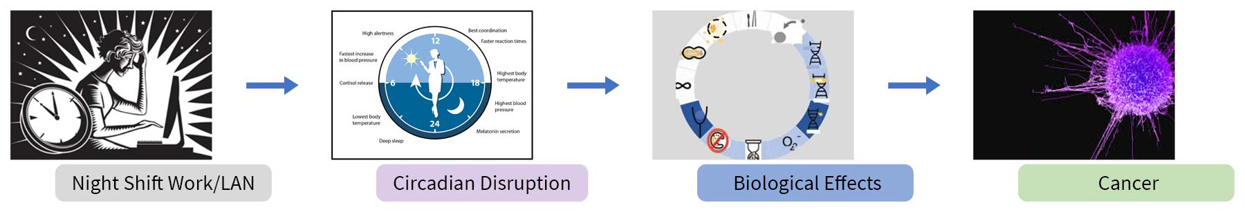 exposure scenarios of night shift work 