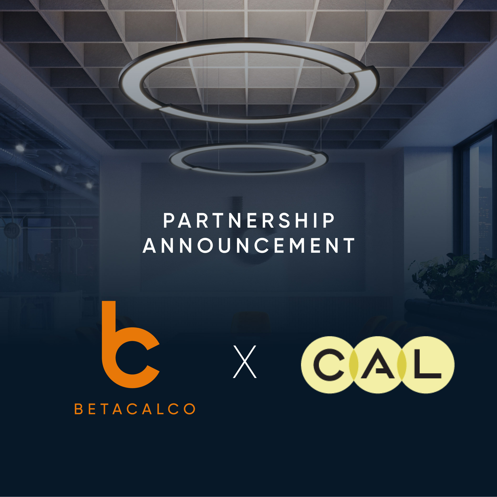 partnership post _CAL.jpg